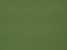 VINE GREEN　ナイロン　2.5層撥水防水透湿コーティング加工　ミニリップ　裏面:幾何学柄