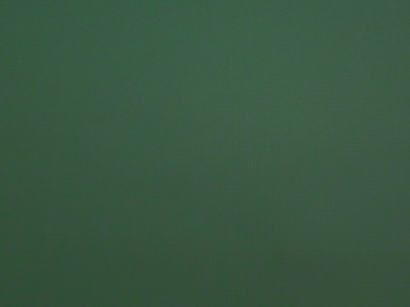 マラードグリーン系　ナイロン　2.5層撥水防水透湿コーティング加工　ミニリップ　裏面:幾何学柄